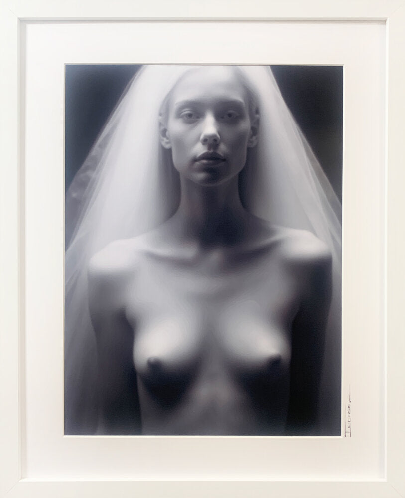 The Shroud IV