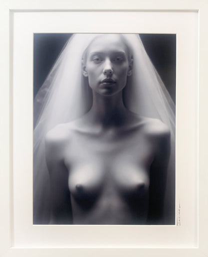 The Shroud IV
