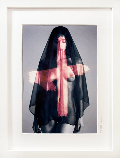 Shroud II