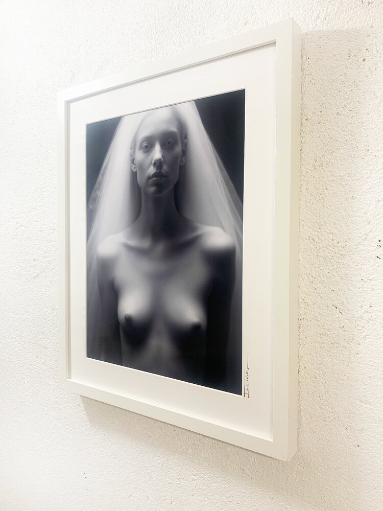 The Shroud IV