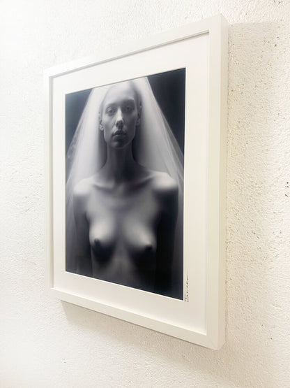 The Shroud IV