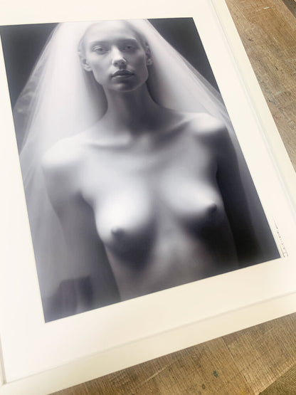 The Shroud IV
