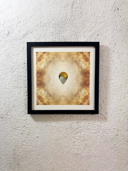 SENTIENT JEWEL II